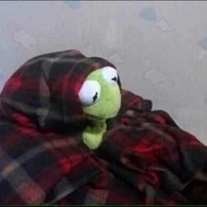 Meet your Posher, Frankie